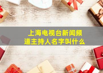 上海电视台新闻频道主持人名字叫什么