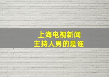 上海电视新闻主持人男的是谁