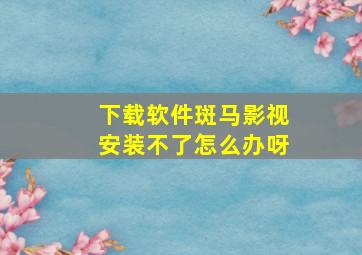 下载软件斑马影视安装不了怎么办呀