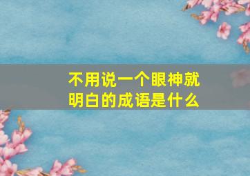 不用说一个眼神就明白的成语是什么