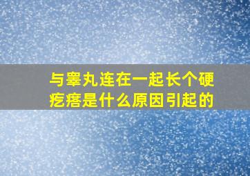 与睾丸连在一起长个硬疙瘩是什么原因引起的