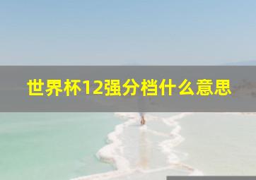 世界杯12强分档什么意思