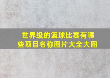 世界级的篮球比赛有哪些项目名称图片大全大图