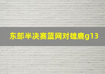 东部半决赛篮网对雄鹿g13