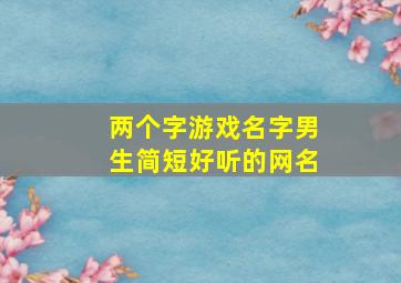 两个字游戏名字男生简短好听的网名