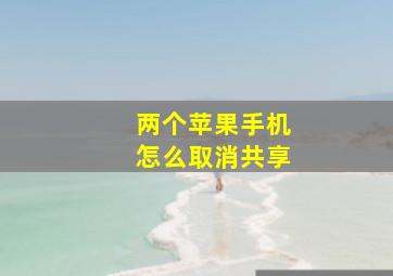 两个苹果手机怎么取消共享