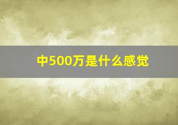 中500万是什么感觉