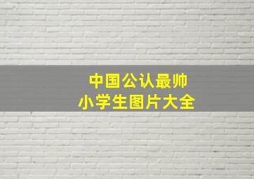 中国公认最帅小学生图片大全