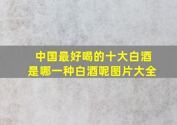 中国最好喝的十大白酒是哪一种白酒呢图片大全