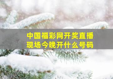 中国福彩网开奖直播现场今晚开什么号码