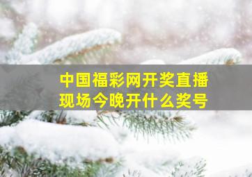 中国福彩网开奖直播现场今晚开什么奖号