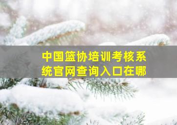 中国篮协培训考核系统官网查询入口在哪