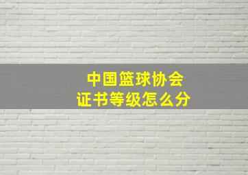 中国篮球协会证书等级怎么分