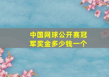 中国网球公开赛冠军奖金多少钱一个