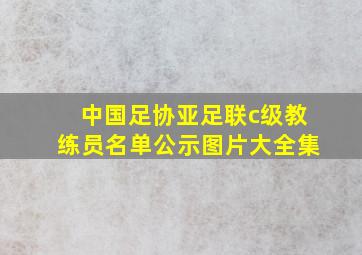 中国足协亚足联c级教练员名单公示图片大全集