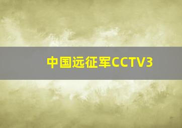 中国远征军CCTV3