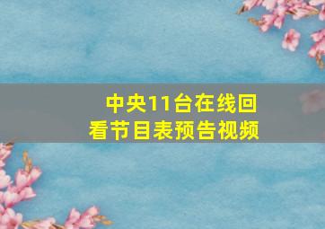 中央11台在线回看节目表预告视频