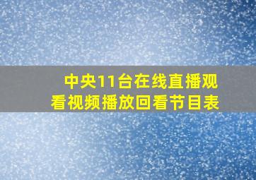 中央11台在线直播观看视频播放回看节目表