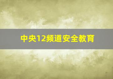 中央12频道安全教育