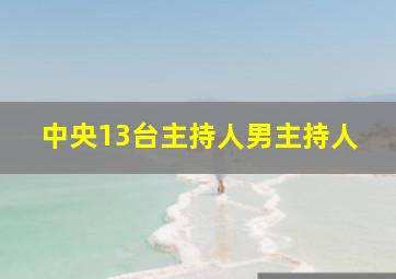 中央13台主持人男主持人