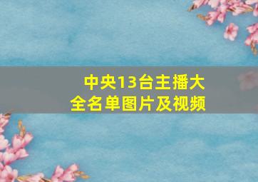 中央13台主播大全名单图片及视频