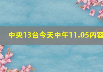 中央13台今天中午11.05内容