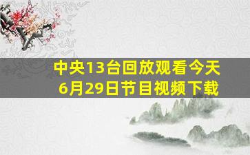 中央13台回放观看今天6月29日节目视频下载