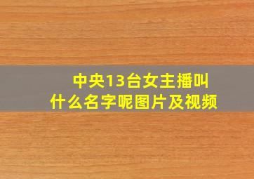 中央13台女主播叫什么名字呢图片及视频