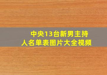 中央13台新男主持人名单表图片大全视频