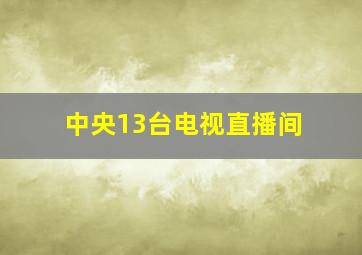 中央13台电视直播间