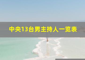 中央13台男主持人一览表