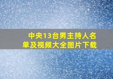 中央13台男主持人名单及视频大全图片下载