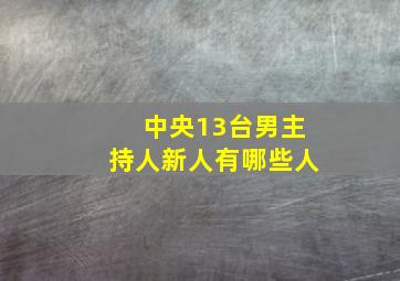 中央13台男主持人新人有哪些人