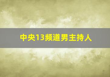 中央13频道男主持人