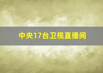 中央17台卫视直播间