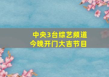 中央3台综艺频道今晚开门大吉节目