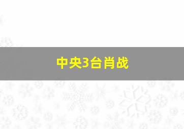 中央3台肖战