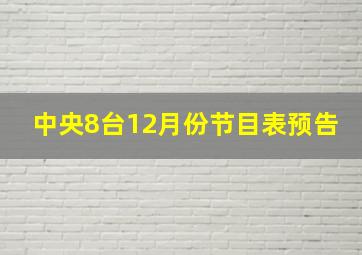 中央8台12月份节目表预告