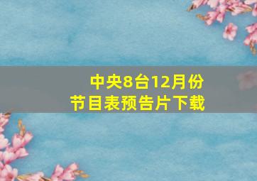 中央8台12月份节目表预告片下载