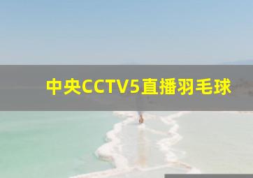 中央CCTV5直播羽毛球