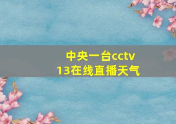 中央一台cctv13在线直播天气