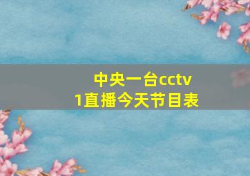 中央一台cctv1直播今天节目表