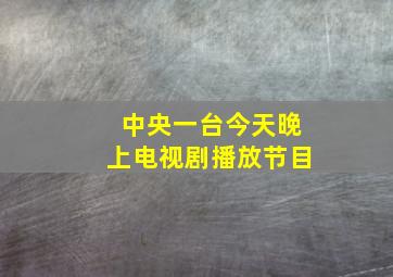 中央一台今天晚上电视剧播放节目