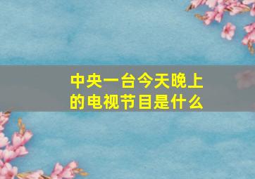 中央一台今天晚上的电视节目是什么