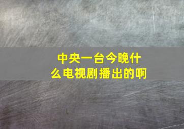 中央一台今晚什么电视剧播出的啊