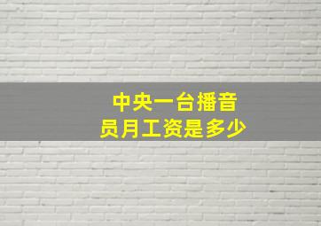 中央一台播音员月工资是多少