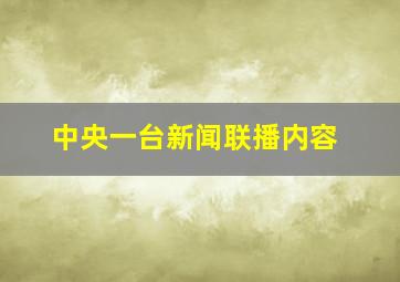 中央一台新闻联播内容