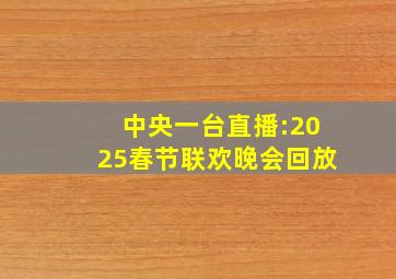 中央一台直播:2025春节联欢晚会回放