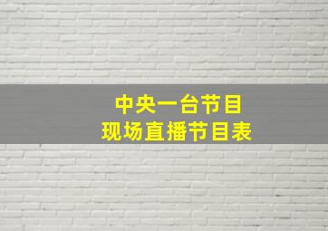 中央一台节目现场直播节目表