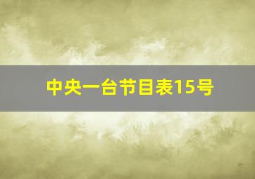 中央一台节目表15号